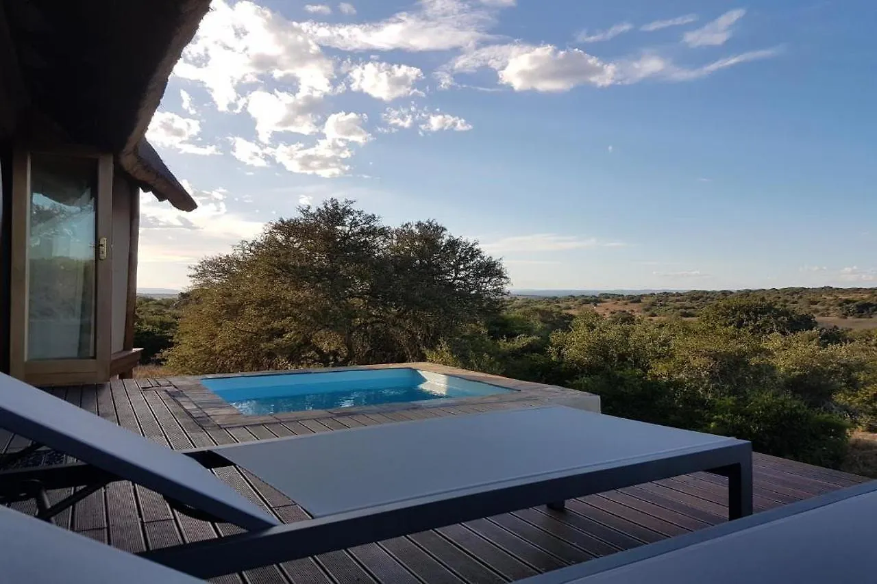 Amakhala Game Reserve - Bush Lodge Port Elizabeth