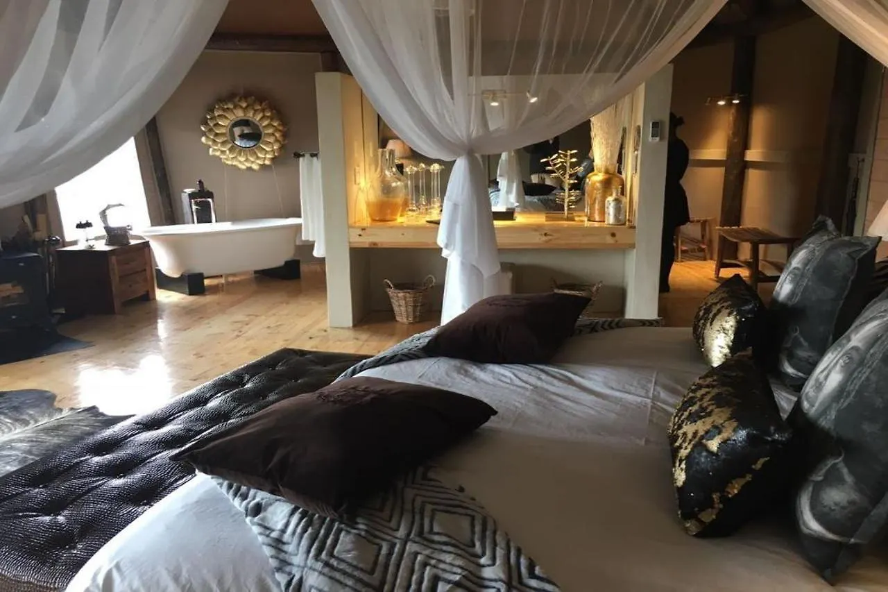 Amakhala Game Reserve - Bush Lodge Port Elizabeth Hotel