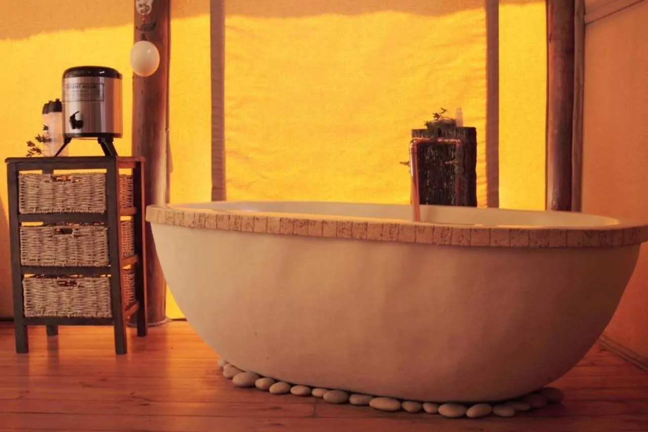Hotel Amakhala Game Reserve - Bush Lodge Port Elizabeth